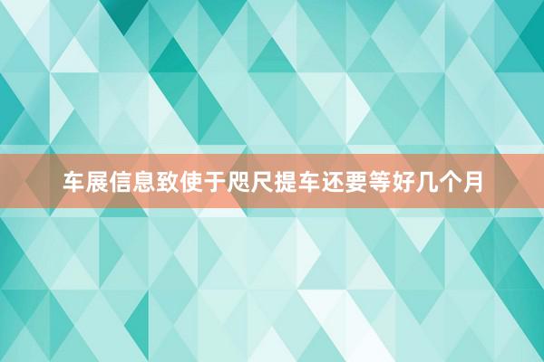 车展信息致使于咫尺提车还要等好几个月