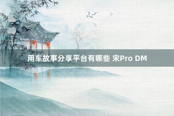 用车故事分享平台有哪些 宋Pro DM