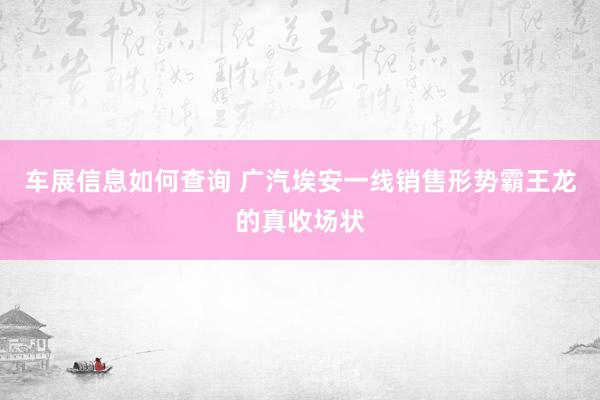 车展信息如何查询 广汽埃安一线销售形势霸王龙的真收场状