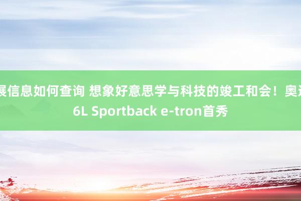 车展信息如何查询 想象好意思学与科技的竣工和会！奥迪Q6L Sportback e-tron首秀