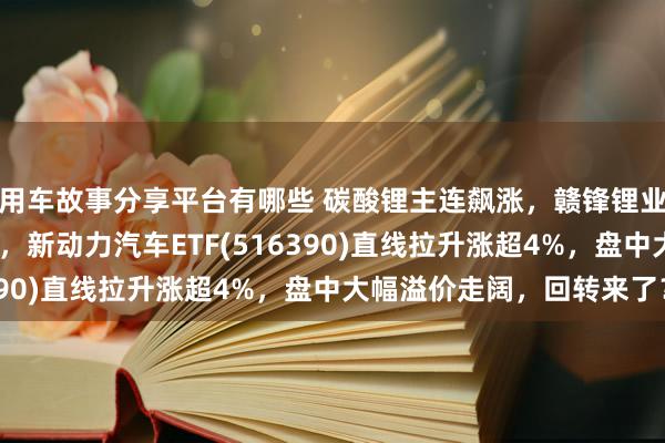 用车故事分享平台有哪些 碳酸锂主连飙涨，赣锋锂业涨停、宁德时间涨3%，新动力汽车ETF(516390)直线拉升涨超4%，盘中大幅溢价走阔，回转来了？