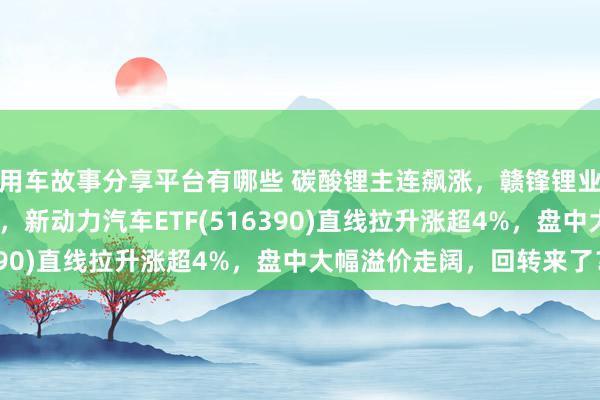 用车故事分享平台有哪些 碳酸锂主连飙涨，赣锋锂业涨停、宁德期间涨3%，新动力汽车ETF(516390)直线拉升涨超4%，盘中大幅溢价走阔，回转来了？