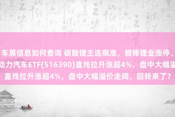 车展信息如何查询 碳酸锂主连飙涨，赣锋锂业涨停、宁德时期涨3%，新动力汽车ETF(516390)直线拉升涨超4%，盘中大幅溢价走阔，回转来了？