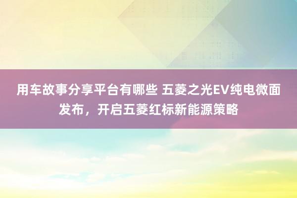 用车故事分享平台有哪些 五菱之光EV纯电微面发布，开启五菱红标新能源策略