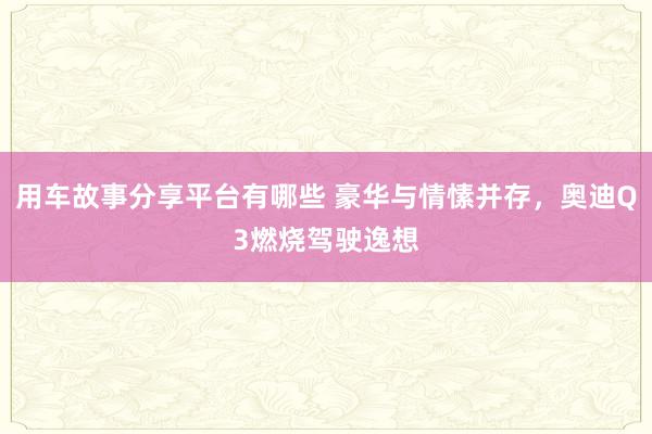 用车故事分享平台有哪些 豪华与情愫并存，奥迪Q3燃烧驾驶逸想