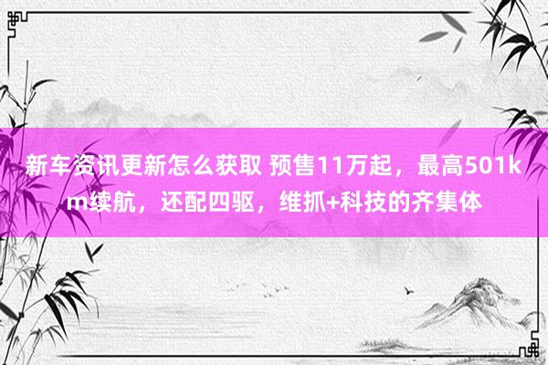 新车资讯更新怎么获取 预售11万起，最高501km续航，还配四驱，维抓+科技的齐集体