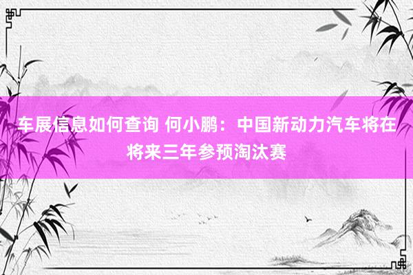 车展信息如何查询 何小鹏：中国新动力汽车将在将来三年参预淘汰赛