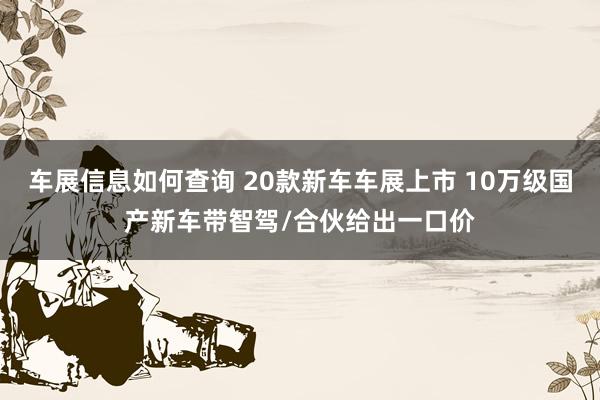 车展信息如何查询 20款新车车展上市 10万级国产新车带智驾/合伙给出一口价