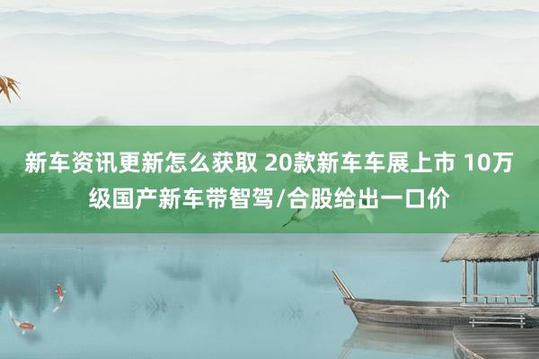 新车资讯更新怎么获取 20款新车车展上市 10万级国产新车带智驾/合股给出一口价