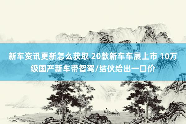 新车资讯更新怎么获取 20款新车车展上市 10万级国产新车带智驾/结伙给出一口价