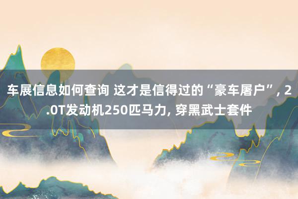 车展信息如何查询 这才是信得过的“豪车屠户”, 2.0T发动机250匹马力, 穿黑武士套件