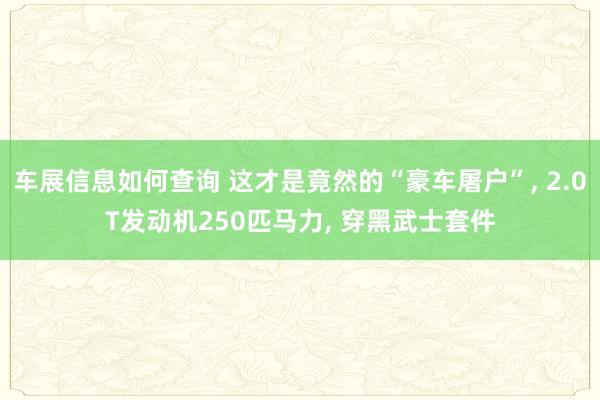 车展信息如何查询 这才是竟然的“豪车屠户”, 2.0T发动机250匹马力, 穿黑武士套件