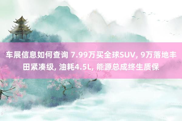 车展信息如何查询 7.99万买全球SUV, 9万落地丰田紧凑级, 油耗4.5L, 能源总成终生质保