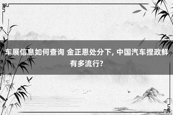 车展信息如何查询 金正恩处分下, 中国汽车捏政鲜有多流行?