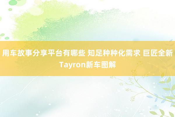 用车故事分享平台有哪些 知足种种化需求 巨匠全新Tayron新车图解