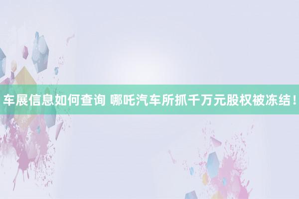 车展信息如何查询 哪吒汽车所抓千万元股权被冻结！