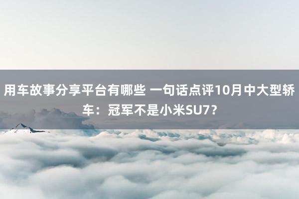 用车故事分享平台有哪些 一句话点评10月中大型轿车：冠军不是小米SU7？