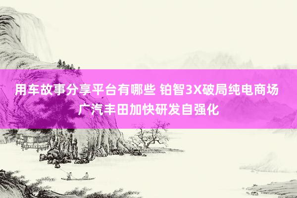 用车故事分享平台有哪些 铂智3X破局纯电商场 广汽丰田加快研发自强化