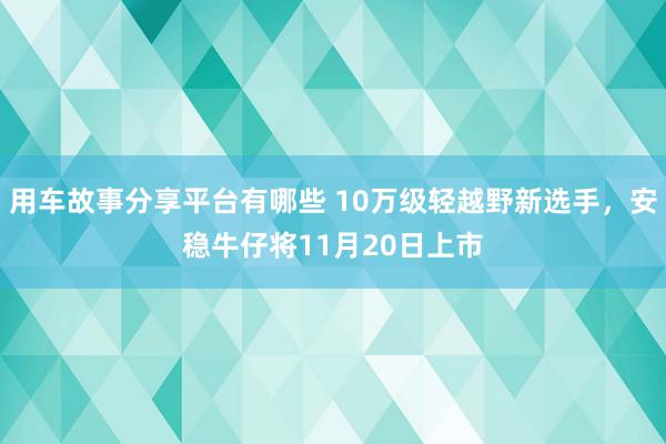 用车故事分享平台有哪些 10万级轻越野新选手，安稳牛仔将11月20日上市