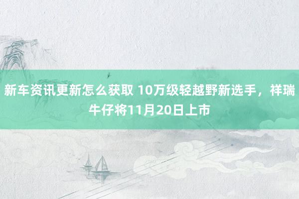 新车资讯更新怎么获取 10万级轻越野新选手，祥瑞牛仔将11月20日上市