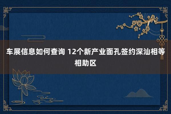 车展信息如何查询 12个新产业面孔签约深汕相等相助区