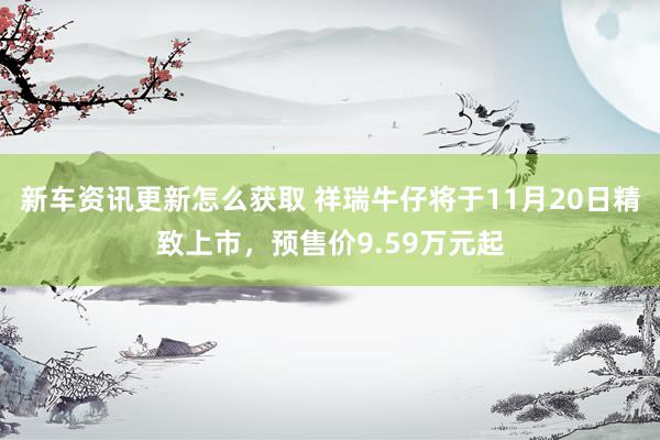 新车资讯更新怎么获取 祥瑞牛仔将于11月20日精致上市，预售价9.59万元起