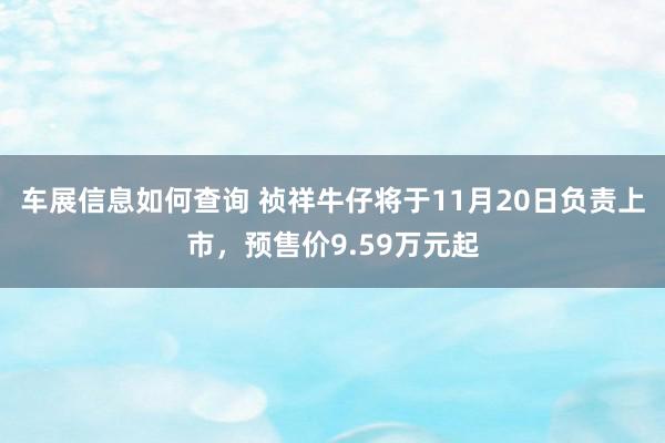 车展信息如何查询 祯祥牛仔将于11月20日负责上市，预售价9.59万元起