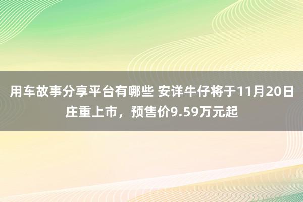 用车故事分享平台有哪些 安详牛仔将于11月20日庄重上市，预售价9.59万元起