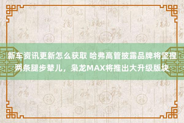 新车资讯更新怎么获取 哈弗高管披露品牌将坚捏两条腿步辇儿，枭龙MAX将推出大升级版块